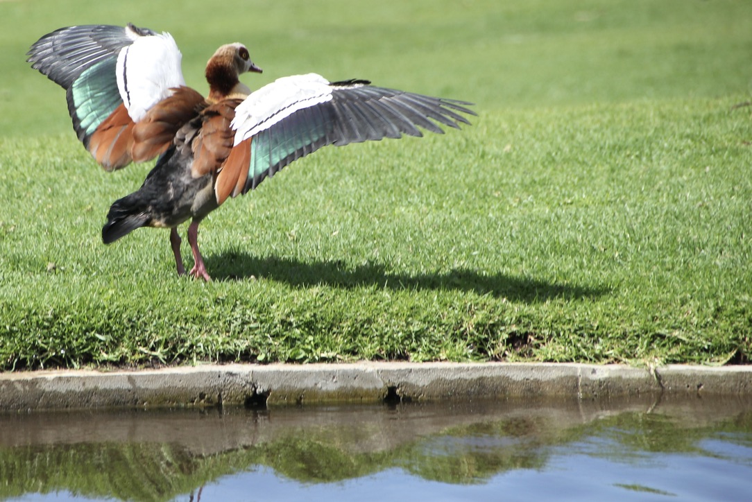Capetown, South Africa